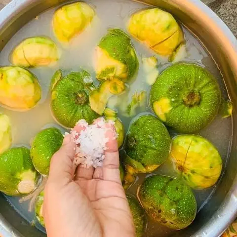 Cách Làm Vả Ngâm Chua Ngọt Giòn Ngon Đơn Giản Tại Nhà Chuẩn Vị Huế Cách Làm Vả Ngâm Chua Ngọt Giòn Ngon Đơn Giản Tại Nhà Chuẩn Vị Huế