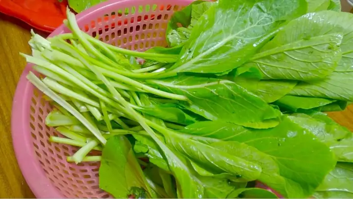 Hướng Dẫn Cách Nhặt Rau Cải Ngọt Chuẩn, Nhanh Gọn Và Mẹo Bảo Quản Hướng Dẫn Cách Nhặt Rau Cải Ngọt Chuẩn, Nhanh Gọn Và Mẹo Bảo Quản