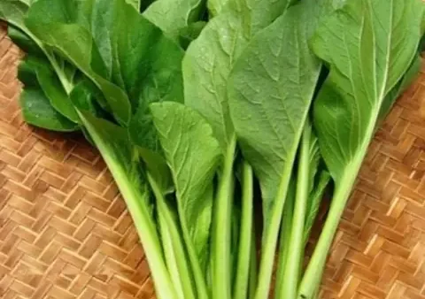 Hướng Dẫn Cách Nhặt Rau Cải Ngọt Chuẩn, Nhanh Gọn Và Mẹo Bảo Quản