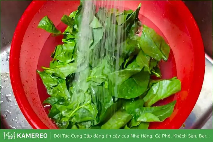 Cách Nhặt Rau Mồng Tơi Nhanh, Sạch Và Đơn Giản Nhất
