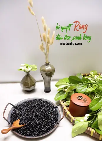 Bí Quyết Rang Đậu Đen Xanh Lòng Thơm Ngon Chuẩn Vị, Không Bị Cháy Bí Quyết Rang Đậu Đen Xanh Lòng Thơm Ngon Chuẩn Vị, Không Bị Cháy