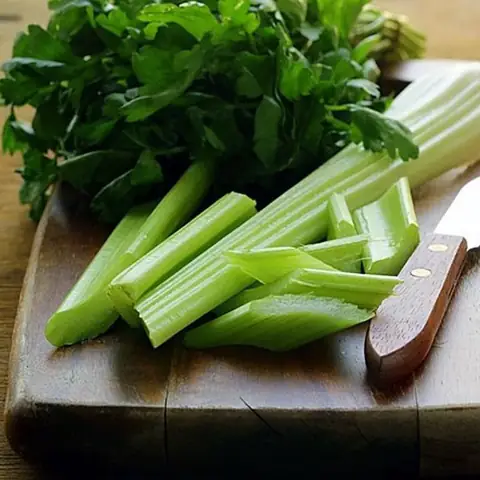 Cách Sơ Chế Cần Tây: Hướng Dẫn Chi Tiết Cho Món Ăn Ngon & Giữ Trọn Dinh Dưỡng Cách Sơ Chế Cần Tây: Hướng Dẫn Chi Tiết Cho Món Ăn Ngon & Giữ Trọn Dinh Dưỡng