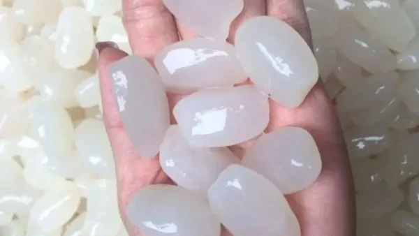 Cách Sơ Chế Hạt Đác Sạch Nhớt, Khử Mùi Hôi & Rim Ngon Chuẩn Vị
