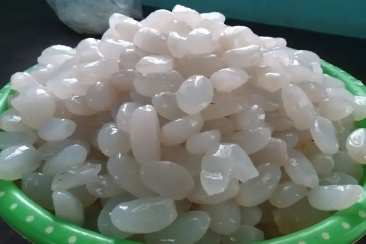 Cách Sơ Chế Hạt Đác Sạch Nhớt, Khử Mùi Hôi & Rim Ngon Chuẩn Vị Cách Sơ Chế Hạt Đác Sạch Nhớt, Khử Mùi Hôi & Rim Ngon Chuẩn Vị