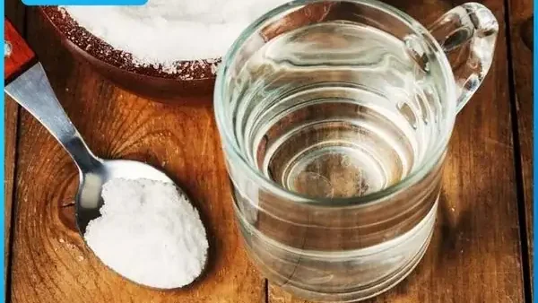 Cách Sơ Chế Ốc Hương Sạch Ngon, Không Hôi, Không Đứt Ruột Tại Nhà