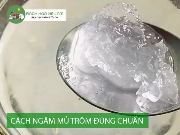 Cách Sử Dụng Mủ Trôm Đúng Cách: Hướng Dẫn Pha Chế & Lưu Ý An Toàn Cách Sử Dụng Mủ Trôm Đúng Cách: Hướng Dẫn Pha Chế & Lưu Ý An Toàn