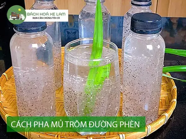 Cách Sử Dụng Mủ Trôm Đúng Cách: Hướng Dẫn Pha Chế & Lưu Ý An Toàn Cách Sử Dụng Mủ Trôm Đúng Cách: Hướng Dẫn Pha Chế & Lưu Ý An Toàn