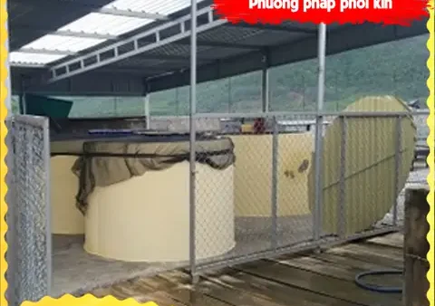 Cách Ủ Cá Tươi Và Nấu Nước Mắm Tại Nhà: Từ Ủ Chượp Đến Lọc
