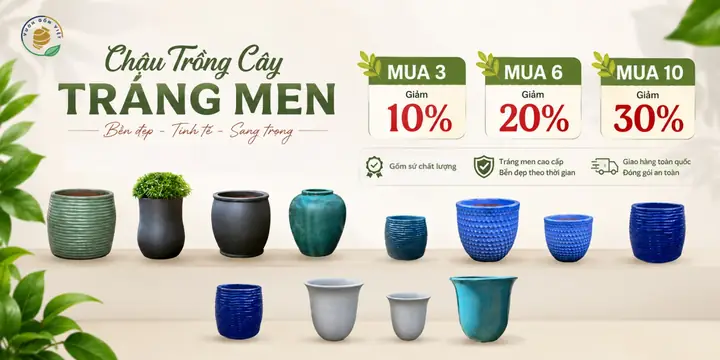 Cách Ủ Cơm Để Nấu Rượu Ngon Tại Nhà: Chọn Men, Tỷ Lệ Và Quy Trình Lên Men