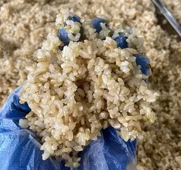 Hướng Dẫn Cách Ủ Men Nấu Rượu Chuẩn Kỹ Thuật Tại Nhà: Quy Trình 5 Bước, Kiểm Soát Nhiệt Độ & Bí Quyết Không Thất Bại