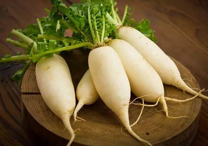 Cải Thìa Tiếng Anh Là Gì? Tên Gọi, Đặc Điểm Và Cách Phát Âm Chuẩn Cải Thìa Tiếng Anh Là Gì? Tên Gọi, Đặc Điểm Và Cách Phát Âm Chuẩn