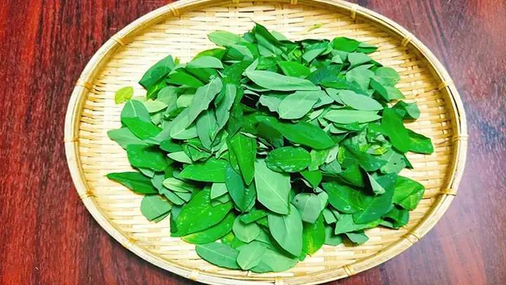 Canh Rau Ngót Bao Nhiêu Calo? Lợi Ích Và Cách Ăn Hỗ Trợ Sức Khỏe, Giảm Cân Canh Rau Ngót Bao Nhiêu Calo? Lợi Ích Và Cách Ăn Hỗ Trợ Sức Khỏe, Giảm Cân