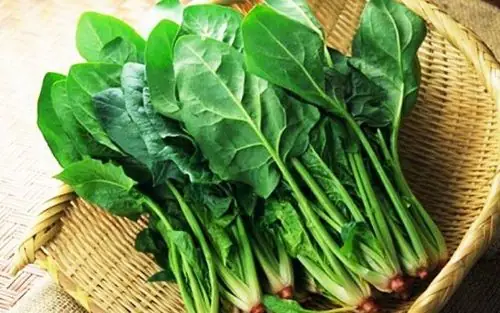 Bà Bầu Ăn Canh Rau Ngót Được Không? Lợi Ích, Rủi Ro Và Cách Nấu An Toàn