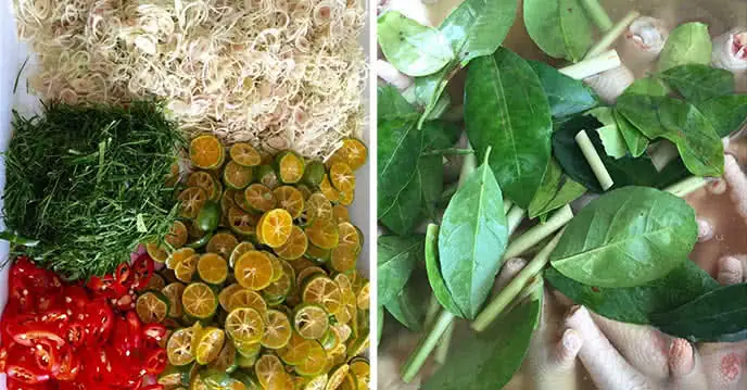 Cách Làm Chân Gà Ngâm Sả Tắc Giòn Ngon, Thấm Vị, Giải Ngấy Tại Nhà Cách Làm Chân Gà Ngâm Sả Tắc Giòn Ngon, Thấm Vị, Giải Ngấy Tại Nhà
