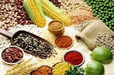 Cháo Sen Bát Bảo Có Tốt Không? Lợi Ích Sức Khỏe & Thành Phần Chi Tiết Cháo Sen Bát Bảo Có Tốt Không? Lợi Ích Sức Khỏe & Thành Phần Chi Tiết