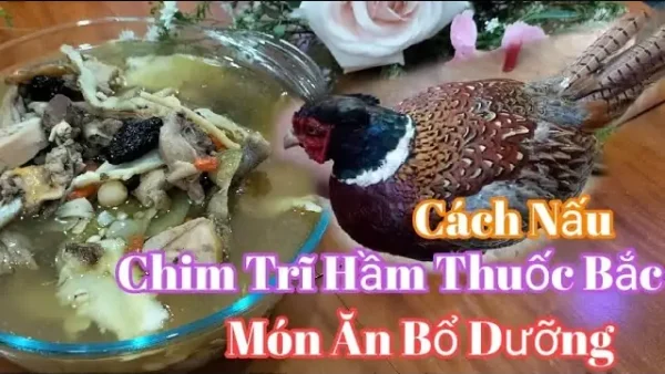 Cách Nấu Chim Trĩ Hầm Thuốc Bắc Thơm Ngon, Bổ Dưỡng Chuẩn Vị
