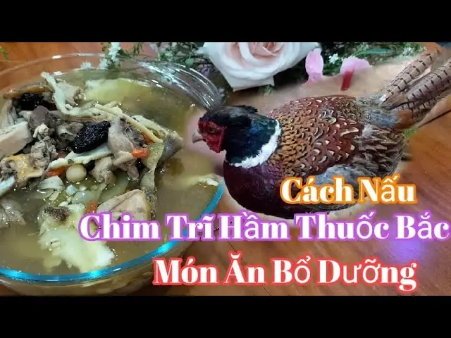 Cách Nấu Chim Trĩ Hầm Thuốc Bắc Thơm Ngon, Bổ Dưỡng Chuẩn Vị Cách Nấu Chim Trĩ Hầm Thuốc Bắc Thơm Ngon, Bổ Dưỡng Chuẩn Vị