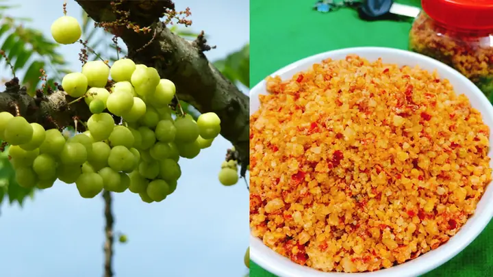 Hướng Dẫn Chi Tiết Cách Làm Chùm Ruột Xốc Muối Ớt Chua Cay Ngon Đúng Vị Hướng Dẫn Chi Tiết Cách Làm Chùm Ruột Xốc Muối Ớt Chua Cay Ngon Đúng Vị