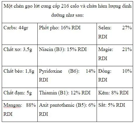 Cơm Gạo Lứt Giảm Cân: Cách Ăn, Lợi Ích & Thực Đơn Hiệu Quả Cơm Gạo Lứt Giảm Cân: Cách Ăn, Lợi Ích & Thực Đơn Hiệu Quả