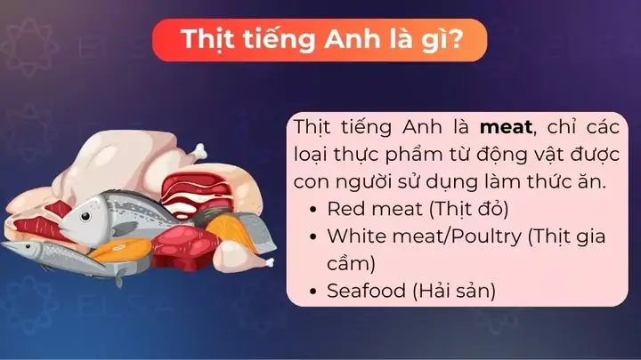 Con Ngao Tiếng Anh Là Gì: Định Nghĩa, Từ Vựng Liên Quan Và Cách Sử Dụng Con Ngao Tiếng Anh Là Gì: Định Nghĩa, Từ Vựng Liên Quan Và Cách Sử Dụng