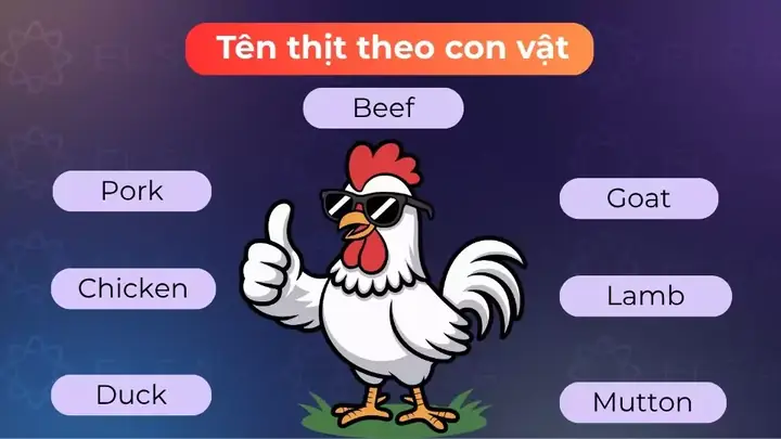 Con Ngao Tiếng Anh Là Gì: Định Nghĩa, Từ Vựng Liên Quan Và Cách Sử Dụng Con Ngao Tiếng Anh Là Gì: Định Nghĩa, Từ Vựng Liên Quan Và Cách Sử Dụng