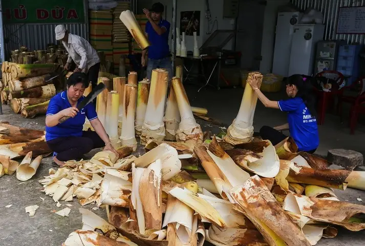 Củ Hũ Dừa Bao Nhiêu 1kg? Giá Tươi, Giá Khô Và Địa Chỉ Mua Uy Tín Củ Hũ Dừa Bao Nhiêu 1kg? Giá Tươi, Giá Khô Và Địa Chỉ Mua Uy Tín