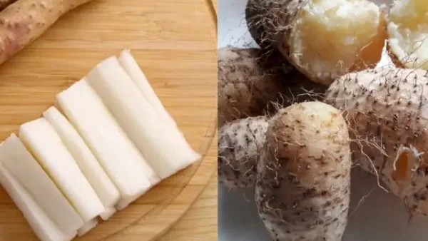 Củ Mài Và Củ Từ: Phân Biệt, Đặc Điểm Và Cách Dùng Chuẩn Xác
