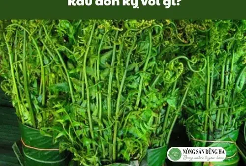 Củ Nén Kỵ Với Gì Và Những Lưu Ý Quan Trọng Khi Sử Dụng