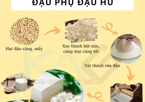 Đậu Hũ Làm Từ Gì? Nguyên Liệu, Quy Trình Và Những Điều Cần Biết