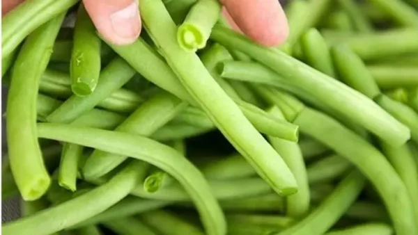 Đậu Que Xào Bao Nhiêu Calo? Giải Đáp Chi Tiết Và Lời Khuyên Hữu Ích