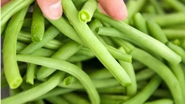 Đậu Que Xào Bao Nhiêu Calo? Giải Đáp Chi Tiết Và Lời Khuyên Hữu Ích Đậu Que Xào Bao Nhiêu Calo? Giải Đáp Chi Tiết Và Lời Khuyên Hữu Ích