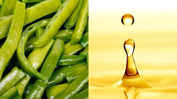 Đậu Que Xào Bao Nhiêu Calo? Giải Đáp Chi Tiết Và Lời Khuyên Hữu Ích Đậu Que Xào Bao Nhiêu Calo? Giải Đáp Chi Tiết Và Lời Khuyên Hữu Ích