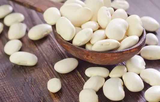 Đậu Trắng Là Đậu Gì? Công Dụng, Dinh Dưỡng Và Lưu Ý Khi Sử Dụng