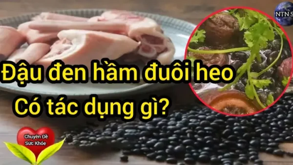 Đuôi Heo Có Tác Dụng Gì? Lợi Ích Sức Khỏe Và Làm Đẹp Toàn Diện