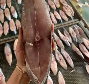 Giá Cá Thu 1 Nắng Bao Nhiêu 1kg? Địa Chỉ Mua Chất Lượng