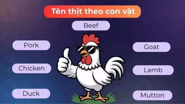 Giăm Bông Tiếng Anh Là Gì? Giải Mã Từ Vựng Ham, Gammon Và Jambon