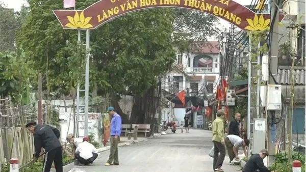 Giá Hành Phi 1kg Bao Nhiêu? Cập Nhật Giá Mới Nhất & Kinh Nghiệm Mua