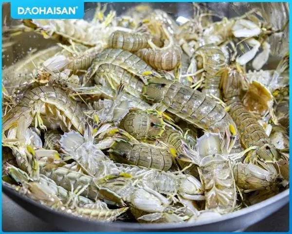 Hấp Bề Bề Bao Lâu Thì Ngon? Hướng Dẫn Chi Tiết Cho Mọi Kích Cỡ Hấp Bề Bề Bao Lâu Thì Ngon? Hướng Dẫn Chi Tiết Cho Mọi Kích Cỡ