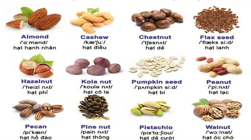 Hạt Dẻ Cười Tiếng Anh Là Gì? Tên Gọi, Ý Nghĩa Và Các Loại Hạt Liên Quan Hạt Dẻ Cười Tiếng Anh Là Gì? Tên Gọi, Ý Nghĩa Và Các Loại Hạt Liên Quan