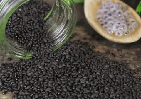 Hạt É: Nguồn Gốc Từ Cây Gì, Phân Biệt Với Hạt Chia Và Các Loại Hạt Khác