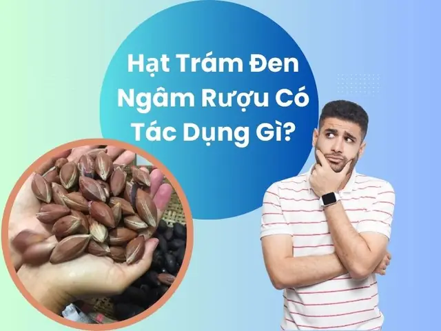 Hạt Trám Đen Ngâm Rượu: Tác Dụng Bất Ngờ Và Cách Sử Dụng Hiệu Quả Hạt Trám Đen Ngâm Rượu: Tác Dụng Bất Ngờ Và Cách Sử Dụng Hiệu Quả