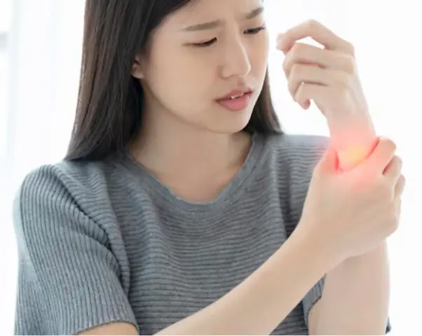 Hình Ảnh Cây Nàng Hai: Đặc Điểm, Tác Dụng Và Cách Nhận Biết Hình Ảnh Cây Nàng Hai: Đặc Điểm, Tác Dụng Và Cách Nhận Biết