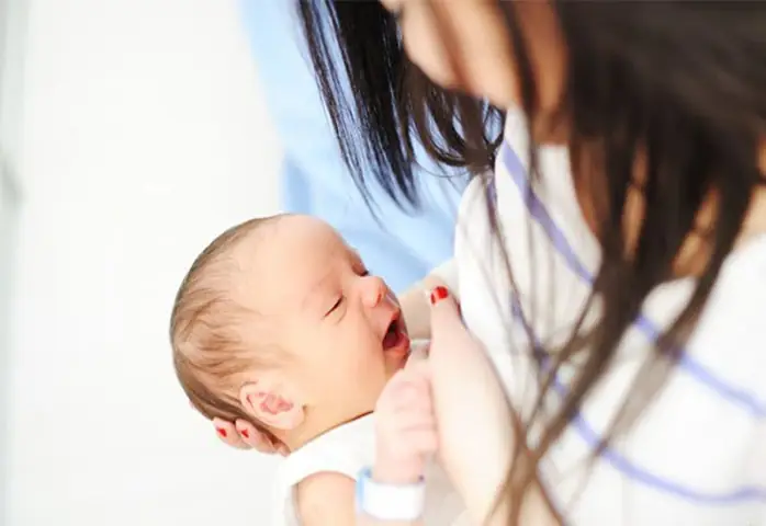 Hình Ảnh Hạt Bo Bo: Đặc Điểm Nhận Biết, Công Dụng Và Lưu Ý Sử Dụng Hình Ảnh Hạt Bo Bo: Đặc Điểm Nhận Biết, Công Dụng Và Lưu Ý Sử Dụng