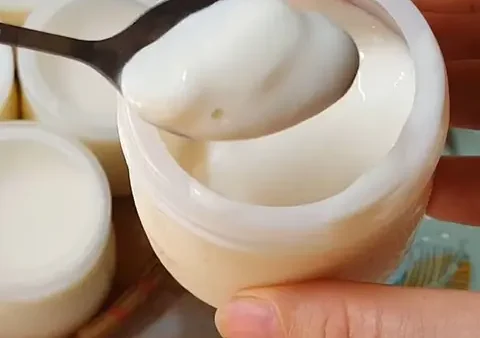 Hình Ảnh Sữa Chua Nhà Làm: Tổng Hợp Công Thức & Mẹo Làm Ngon