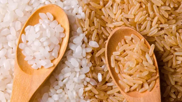 Học Cách Nấu Rượu Gạo Ngon Tại Nhà: Quy Trình Từ Chọn Men Đến Thu Rượu