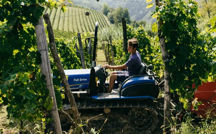 Hướng Dẫn Chi Tiết Cách Làm Rượu Vang Moscato Tại Nhà Hướng Dẫn Chi Tiết Cách Làm Rượu Vang Moscato Tại Nhà