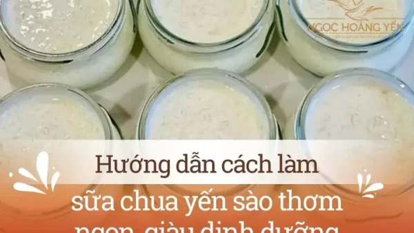 Hướng Dẫn Cách Làm Sữa Chua Dẻo Mịn, Sánh Sánh, Không Tách Nước Tại Nhà Đơn Giản
