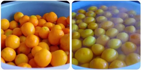 Cách Làm Tắc Muối Ngon Chuẩn Vị: Hướng Dẫn Chi Tiết Từ A-Z