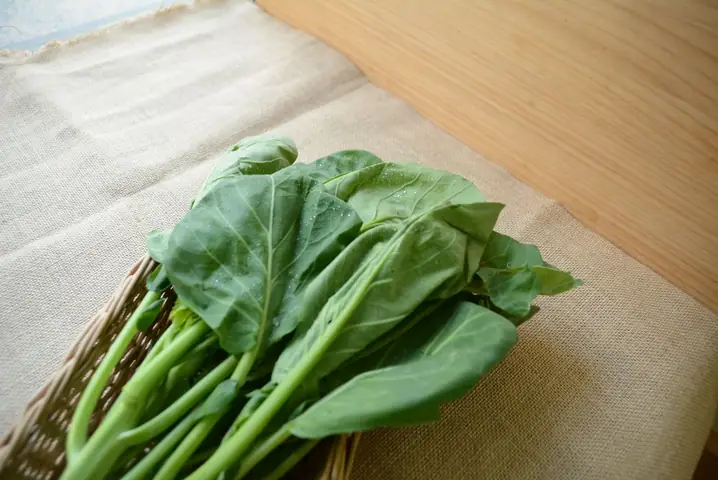 芥蘭菜怎麼洗?正確清洗步驟、農藥殘留去除與食用注意事項 芥蘭菜怎麼洗?正確清洗步驟、農藥殘留去除與食用注意事項