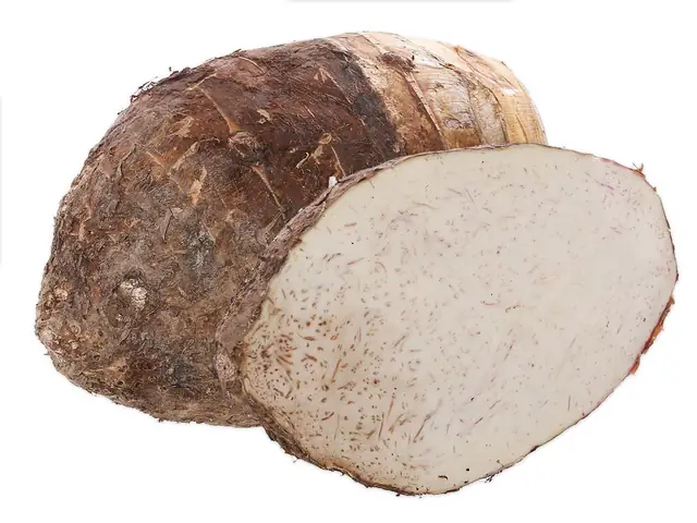 Khoai Cao Là Khoai Gì? Phân Biệt Đặc Điểm, Công Dụng Với Khoai Môn Khoai Cao Là Khoai Gì? Phân Biệt Đặc Điểm, Công Dụng Với Khoai Môn